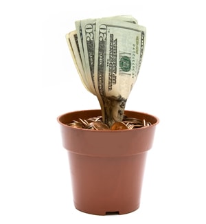 Payday Loans